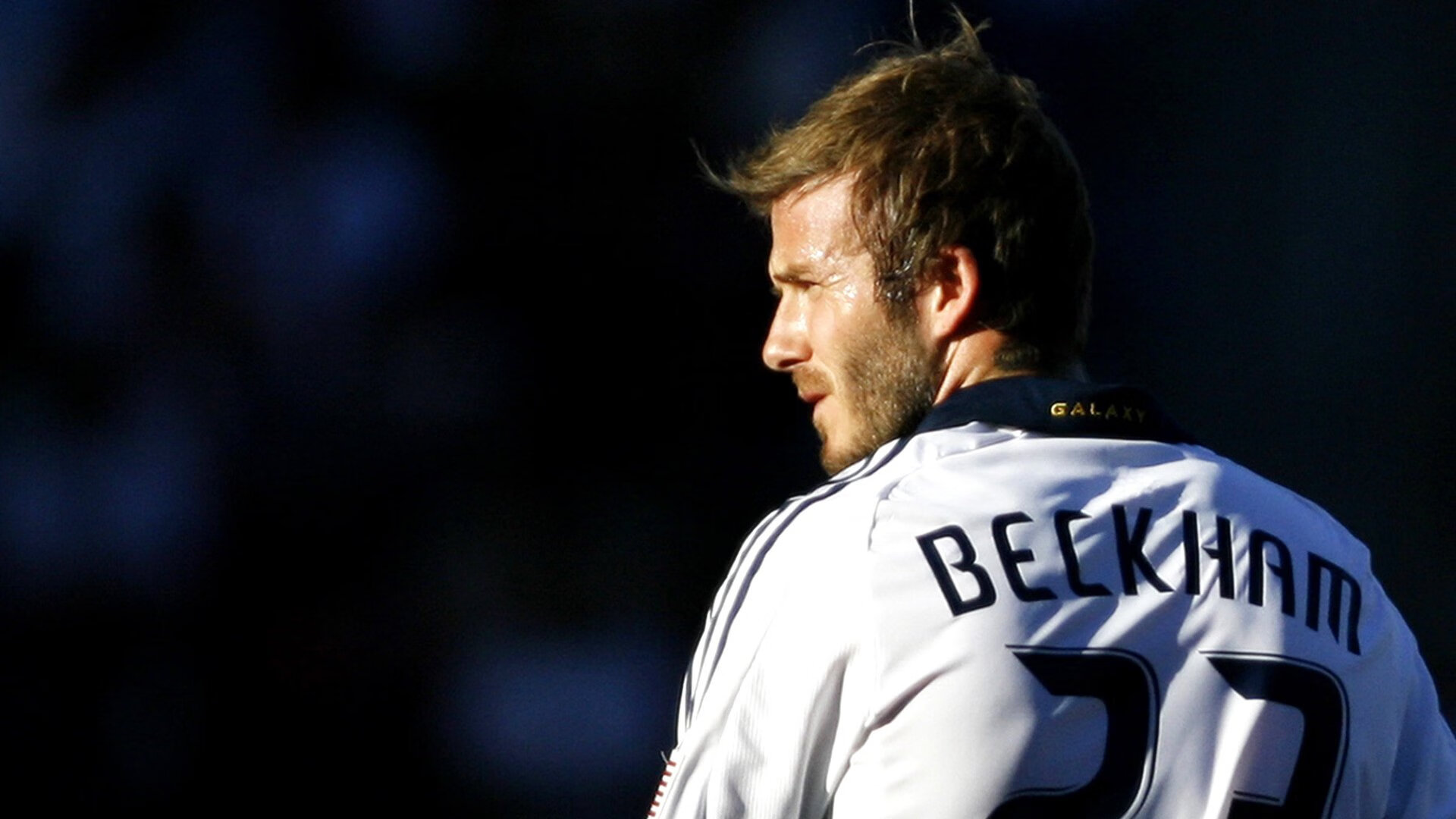 中国游泳队闪耀世锦赛，新星崛起，老将坚守，巴黎奥运前景可期